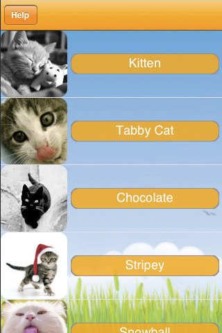 iPet Cats v1.2