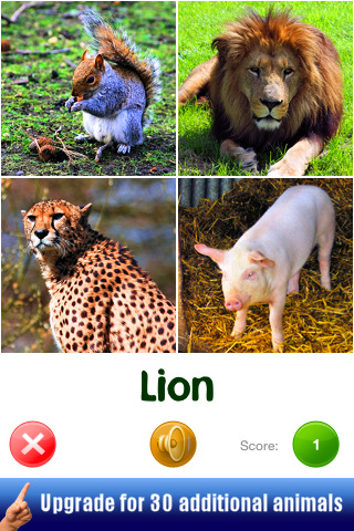 Touch & Discover: Animals FREE v1.1