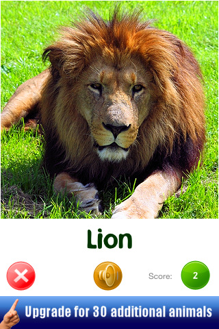 Touch & Discover: Animals FREE v1.1