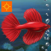 Fish Tycoon Lite v1.1.0