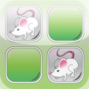 Match Memory Game - Best Kids & Family Games v1.0