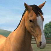 My Horse v1.2