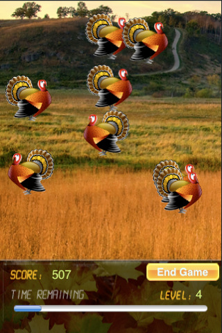 Turkey Hunt ™ v1.10