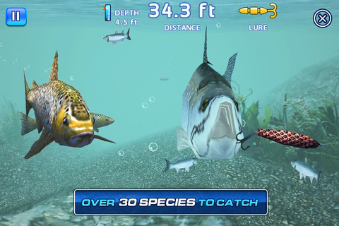 Fishing Kings Free+ v1.0.0